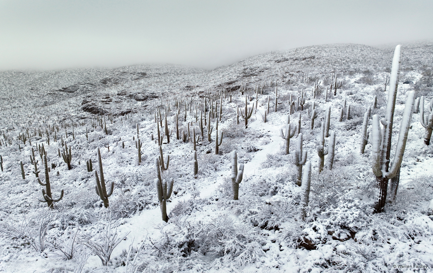 Arizona blizzard storm cinematographer Warren Faidley
